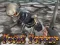 Igra Total Terror online