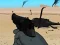 Igra Weapon online
