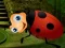 Igra Rescue The Couple Bug online