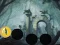 Igra Hungry Devil Forest Escape online