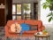 Igra Wakeup The Grandpa online