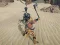 Igra The Scythian Warrior online