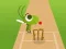 Igra Doodle Cricket online