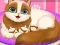 Igra Cute Kitty Pregnant online