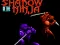 Igra Shadow of the Ninja online