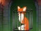 Igra Fox in the Forgotten Ruins online