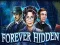 Igra Forever Hidden online