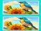 Igra Spot the Difference The Garden online