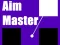 Igra Aim Master online