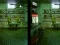 Igra Robot Bar Spot the differences online