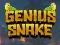Igra Genius Snake online