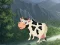 Igra Cow Reach the Shed online