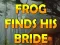 Igra Frog Finds His Bride online