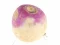 Igra Turnip online