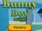 Igra Bunny Boy Online online
