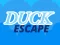 Igra Duck Escape online