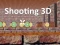 Igra Shooting 3D online