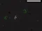 Igra Bad Timing online