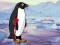 Igra Heal the Wounded Penguin online