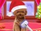 Igra Christmas ASMR Makerover Salon online