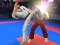 Igra Karate Fighter online