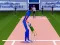 Igra Cricket Mania online