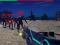 Igra Zombie Survivor online