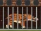 Igra  Andrewsarchus Release from Cage online