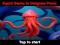 Igra Squid Game In Dalgona Panic online