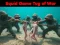 Igra Squid Game Tug Of War online