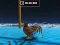 Igra Animal Impossible Track Rush online