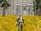 Igra Axe Of The Ancients Dwarven Fury online