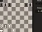 Igra Fun Chess Puzzles! online