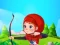 Igra Shoot Your Target online