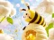 Igra Find The Differences: Little Bee's Adventure online