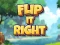 Igra Flip It Right online