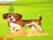 Igra Bunny Key Quest online
