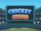 Igra Cricket Craze online