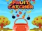Igra Fruit Catchere online