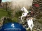 Igra Ertugrul Gazi Horse Sim online