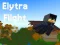 Igra Elytra Flight online