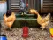 Igra Poultry Farm Easter Escape online