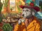 Igra Find Hidden Objects online