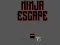 Igra Ninja escape online