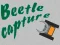 Igra Beetle Capture online