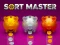 Igra Sort Master online