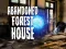 Igra Abandoned Forest House online