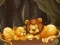 Igra Fun Zoo Animals Jigsaw online