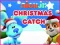 Igra Nick Jr. Christmas Catch online