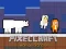Igra PixelCraft Animal School online